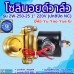 โซลินอยด์วาล์ว 220V (1นิ้ว) รุ่น 2W-250-25 (1") ยี่ห้อ Yu Yao Yue Er